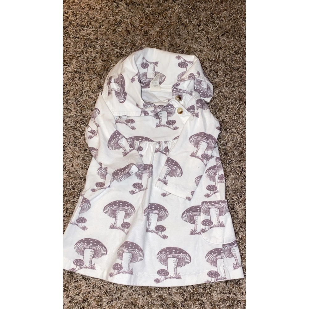 Kate Quinn Dress